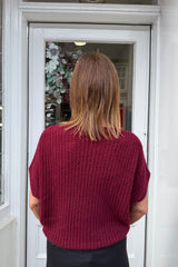 Wine Yasmin Short Sleeve Knit