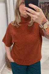 Rust Anna Short Sleeve High Neck Jumper